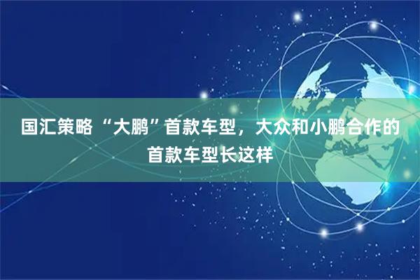 国汇策略 “大鹏”首款车型，大众和小鹏合作的首款车型长这样