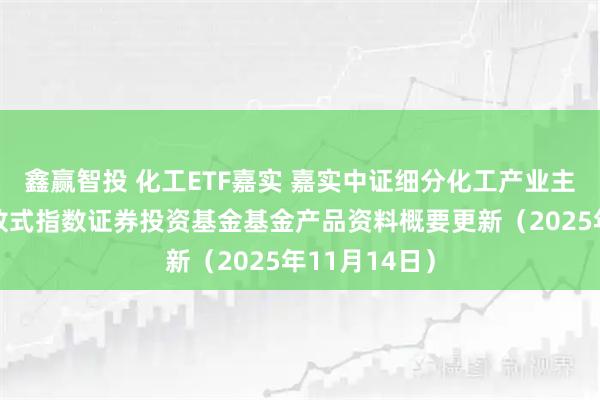鑫赢智投 化工ETF嘉实 嘉实中证细分化工产业主题交易型开放式指数证券投资基金基金产品资料概要更新（2025年11月14日）